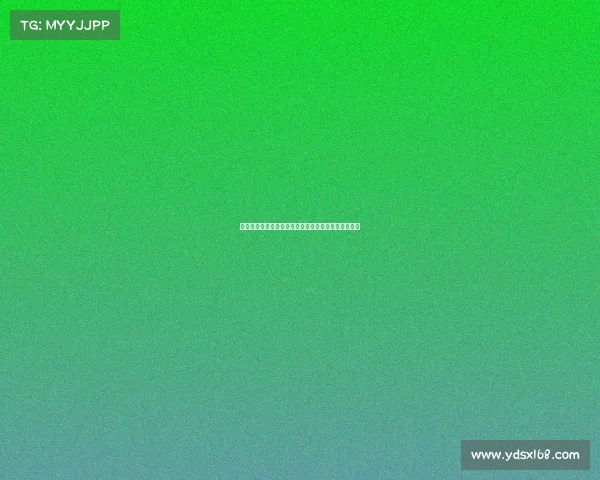 上海近期赛车盛典激情启动顶尖车手齐聚竞技巅峰时刻